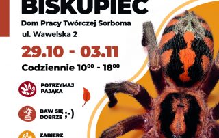 WYSTAWA PAJĄKÓW / BISKUPIEC DOM PRACY TWÓRCZEJ SORBOMA ul.WAWELSKA 2 29.10 - 03.11 CODZIENNIE 10:00 - 18:00