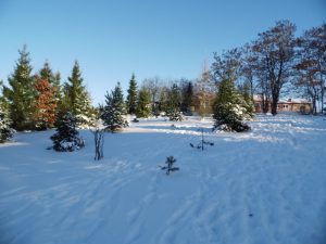 Nasz ogród biologiczny - zimą