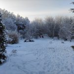 zima 2022-2023 w naszym ogrodzie